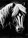Discover Horse head black and white T-Shirts