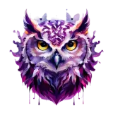 Discover Colorful Owl T-Shirts