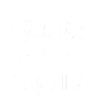 Discover Tacos And Tequila Cinco de Mayo Men Women Mexicanp T-Shirts