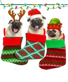 Discover Pug Dog Dog Pug Christmas Socks Funny Xmas T-Shirts
