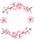 Discover Dog Paw Fur Mama Wo'S K Flowers Sakura Dog T-Shirts