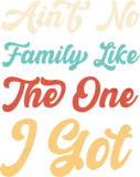 Discover Vintage Ain t No Family Like The One I Got Family T-Shirts