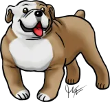 Discover Dog English Bulldog Brown And White T-Shirts