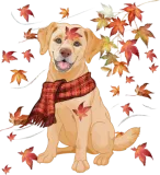 Discover Maple Dog Leaf Fall Hello Autumn Funny Labrador T-Shirts