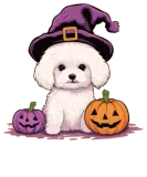 Discover Halloween Witch Hat Pumpkin Dog Bichon Frise T-Shirts