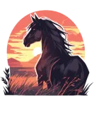 Discover Horses Black Horse Horse Sunset T-Shirts
