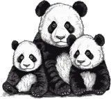 Discover Panda Family T-Shirts