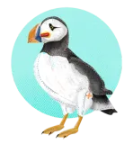 Discover Painted puffin picture T-Shirts