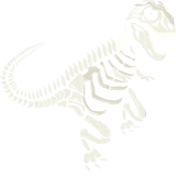 Discover Dinosaur Skeleton Tyrannosaurus Rex Dino Fossil T-Shirts