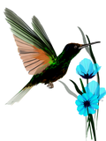 Discover Green Hummingbird-Blue Flowers T-Shirts