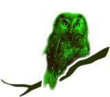 Discover owl bird fowl green T-Shirts