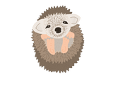 Discover Pygmy Hedgehog is SO Cute! T-Shirts
