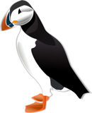 Discover Puffin T-Shirts