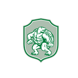 Discover Green Turtle Fighter Mascot Shield Retro T-Shirts
