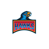 Discover Hawk Head Side Retro T-Shirts