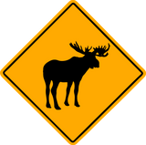 Discover Moose Road Sign T-Shirts