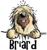 Discover Fluffy Briard - Berger de Brie - Dog - Dogs - Gift T-Shirts