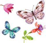 Discover Cute Watercolor Butterfly, Vintage, Baby