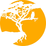 Discover yellow cliff moon tree silhouette outline branch s T-Shirts
