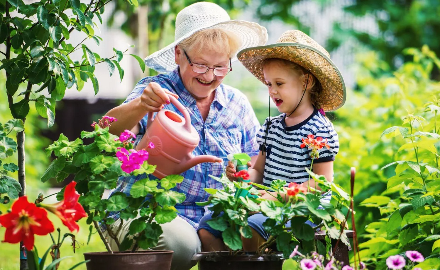 Explore Gosia Herba Shop Ideas