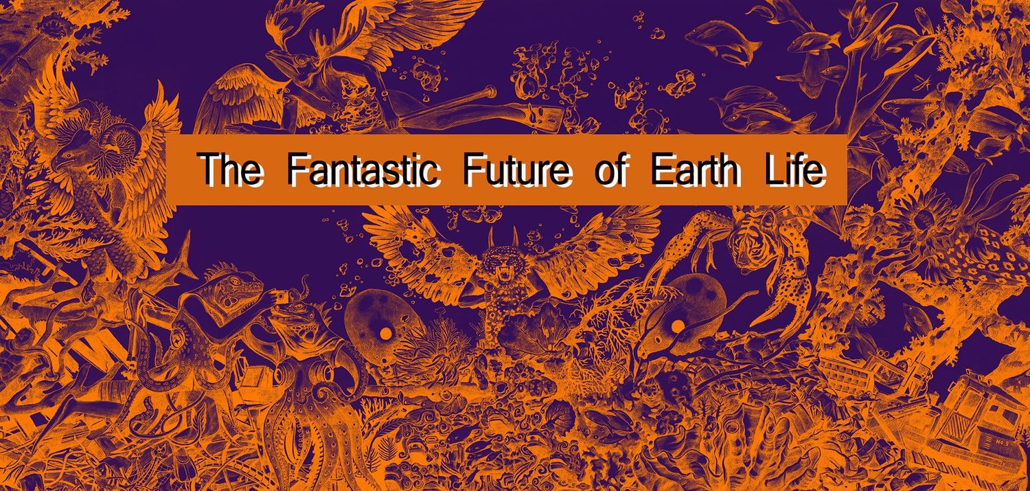 Explore zhao na Shop Ideas