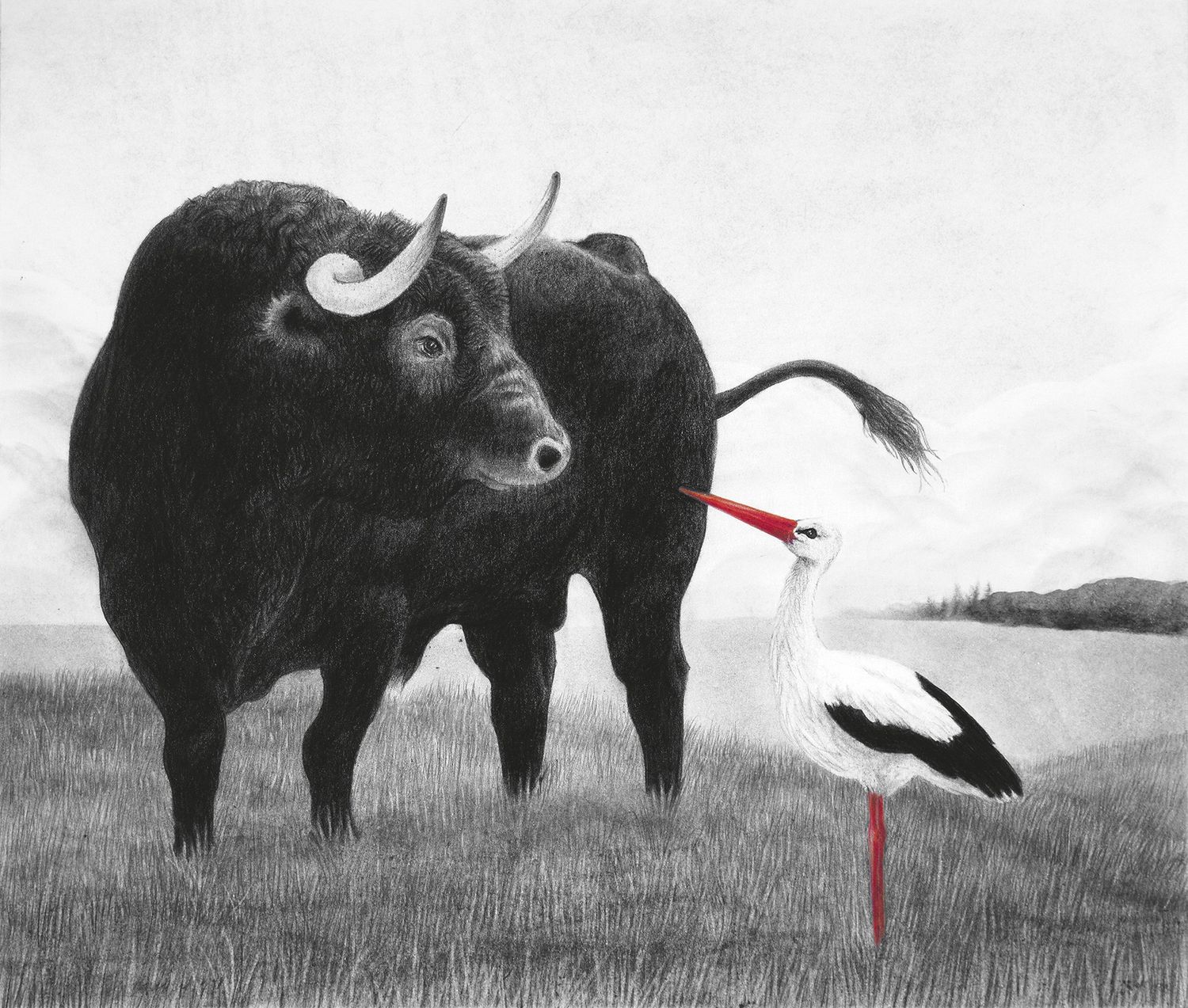 Explore Dominique Schoenig Shop Ideas