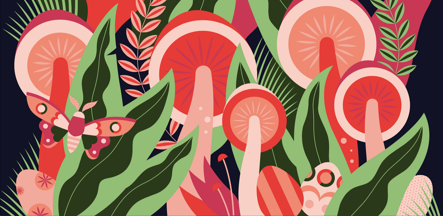 Explore Meier Delphine Shop Ideas