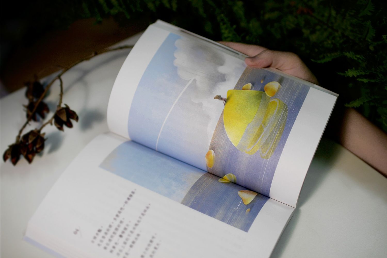 Explore Hanna Chen Shop Ideas