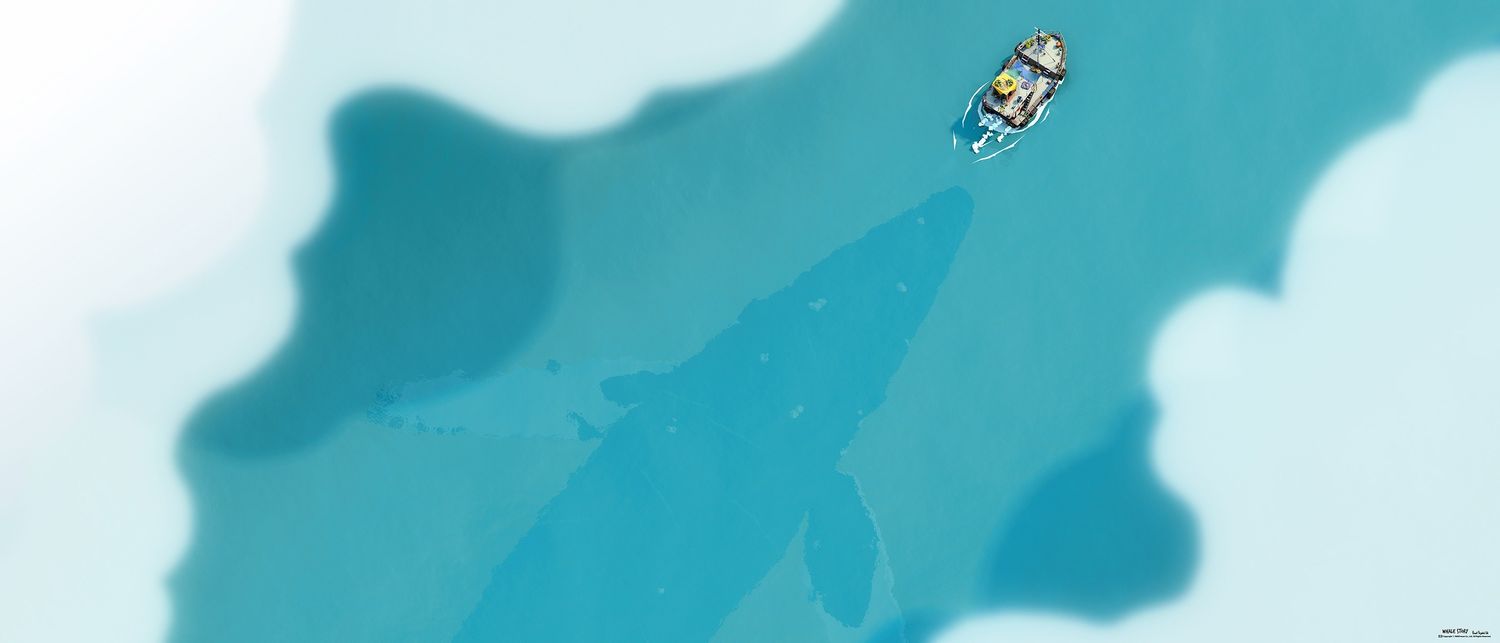 Explore ben rc Shop Ideas