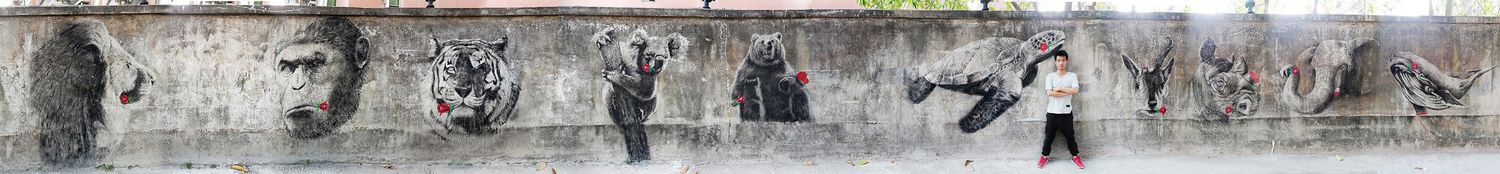 Explore Xavier Shop Ideas