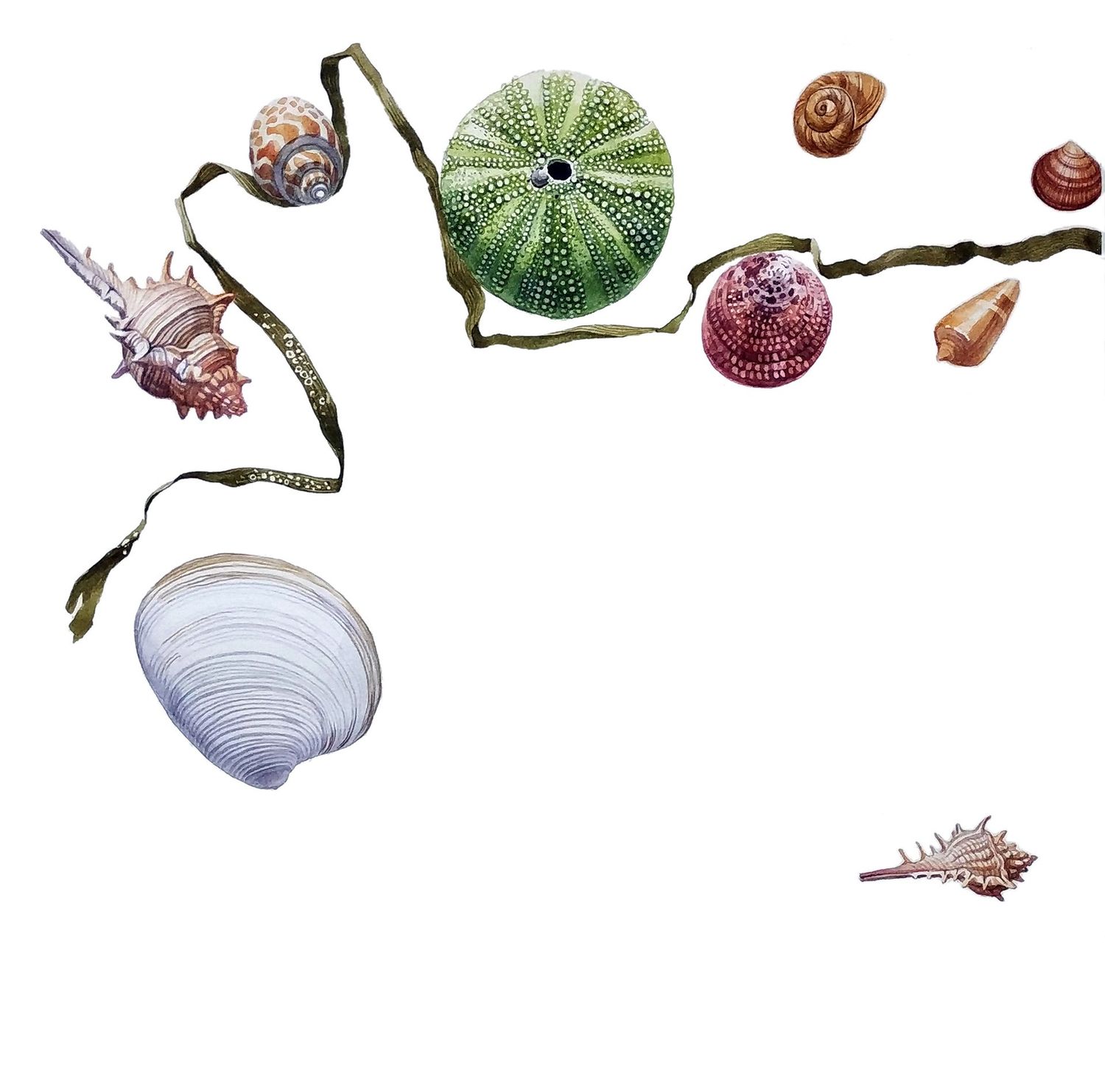 Explore Masha Shebeko Shop Ideas