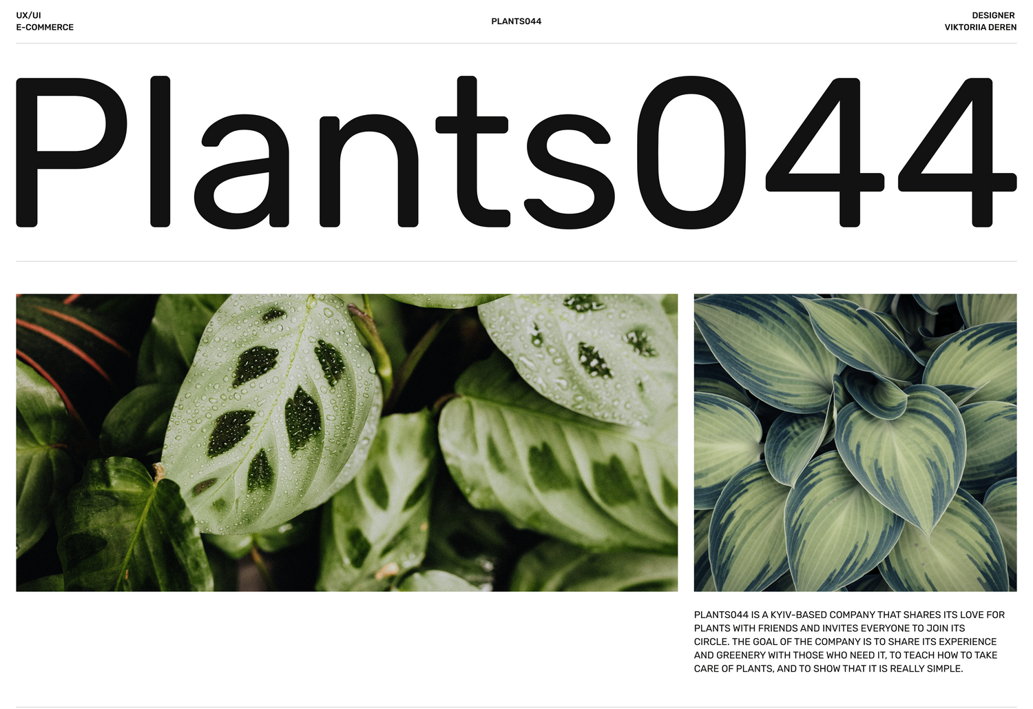 Explore Viktoriia Deren Shop Ideas