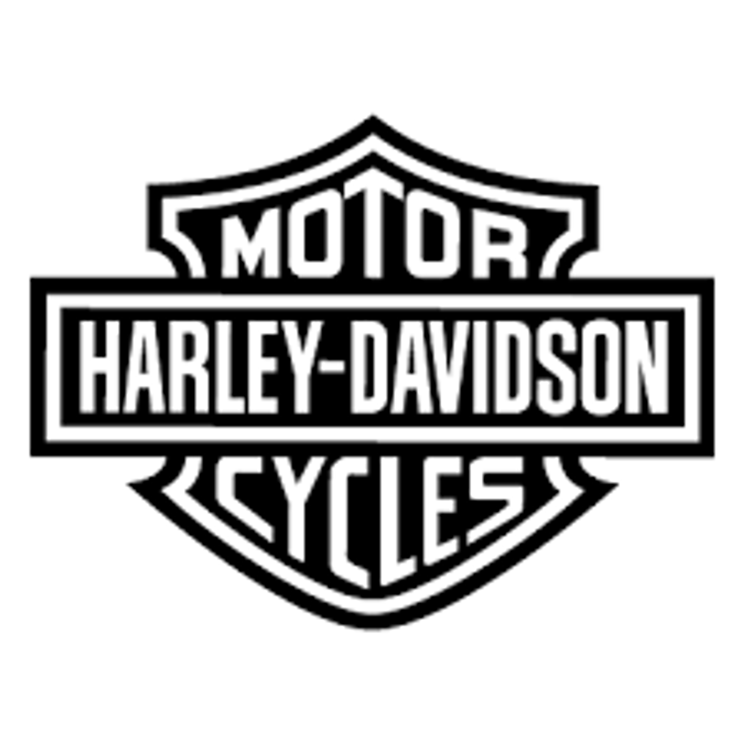 Explore DAVID VICENTE Shop Ideas