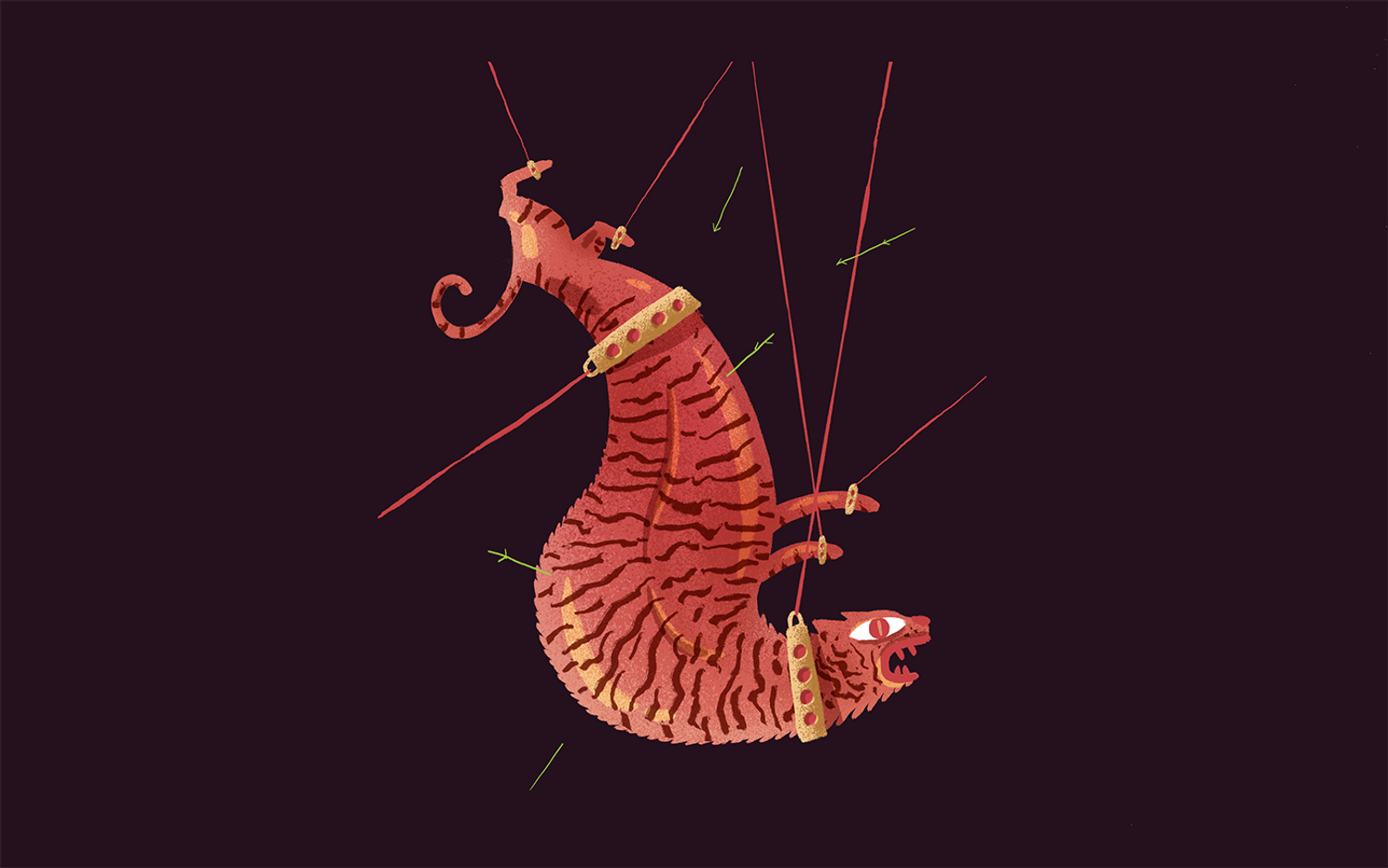 Explore Murat Kalkavan Shop Ideas