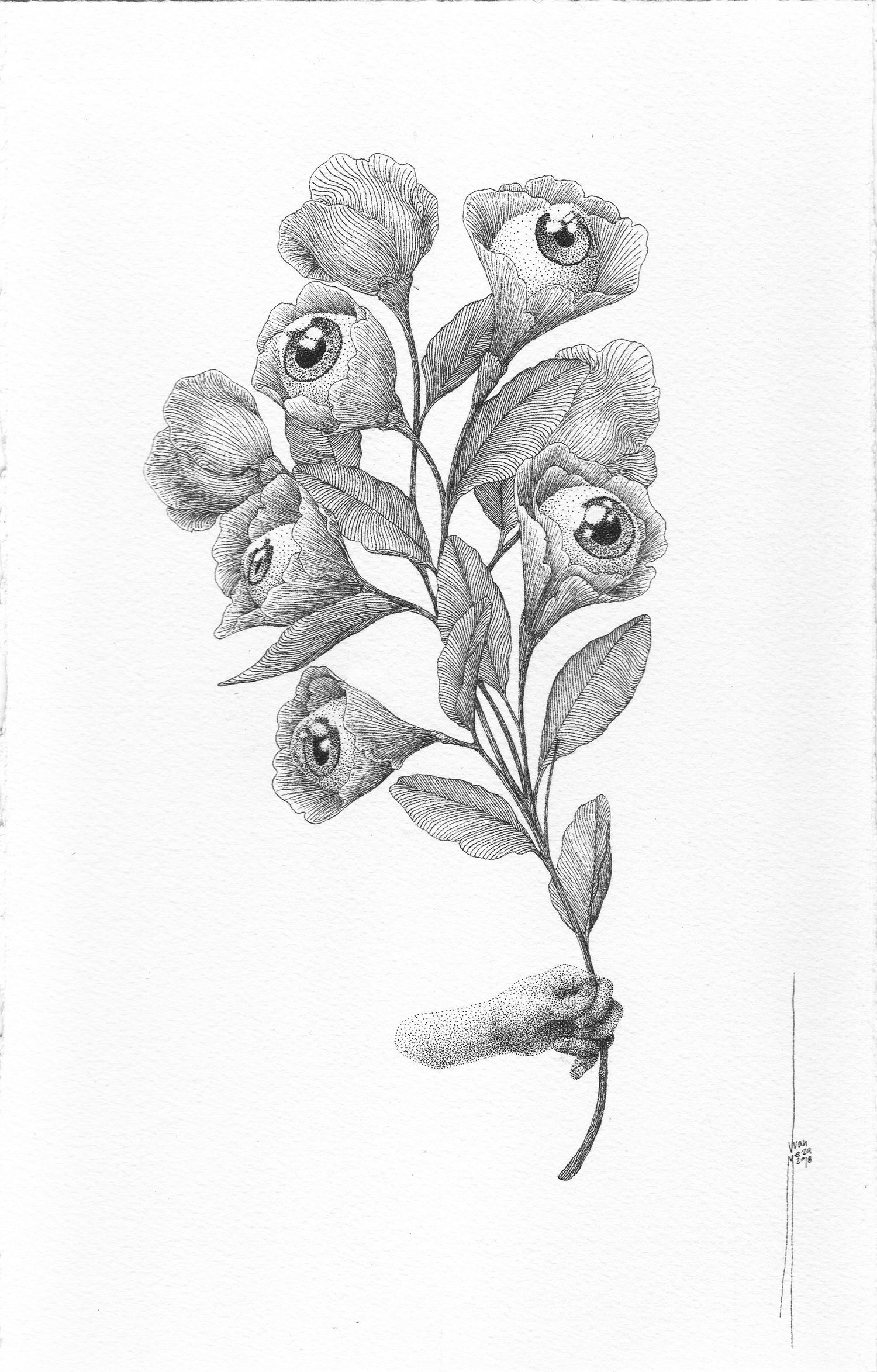 Explore Juan Ramón Meza Rivadeneira Shop Ideas