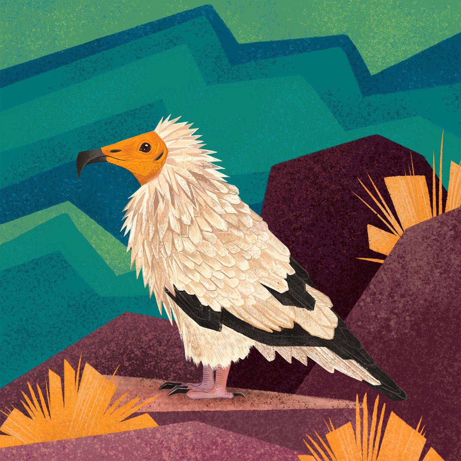 Explore ROHAN DAHOTRE Shop Ideas