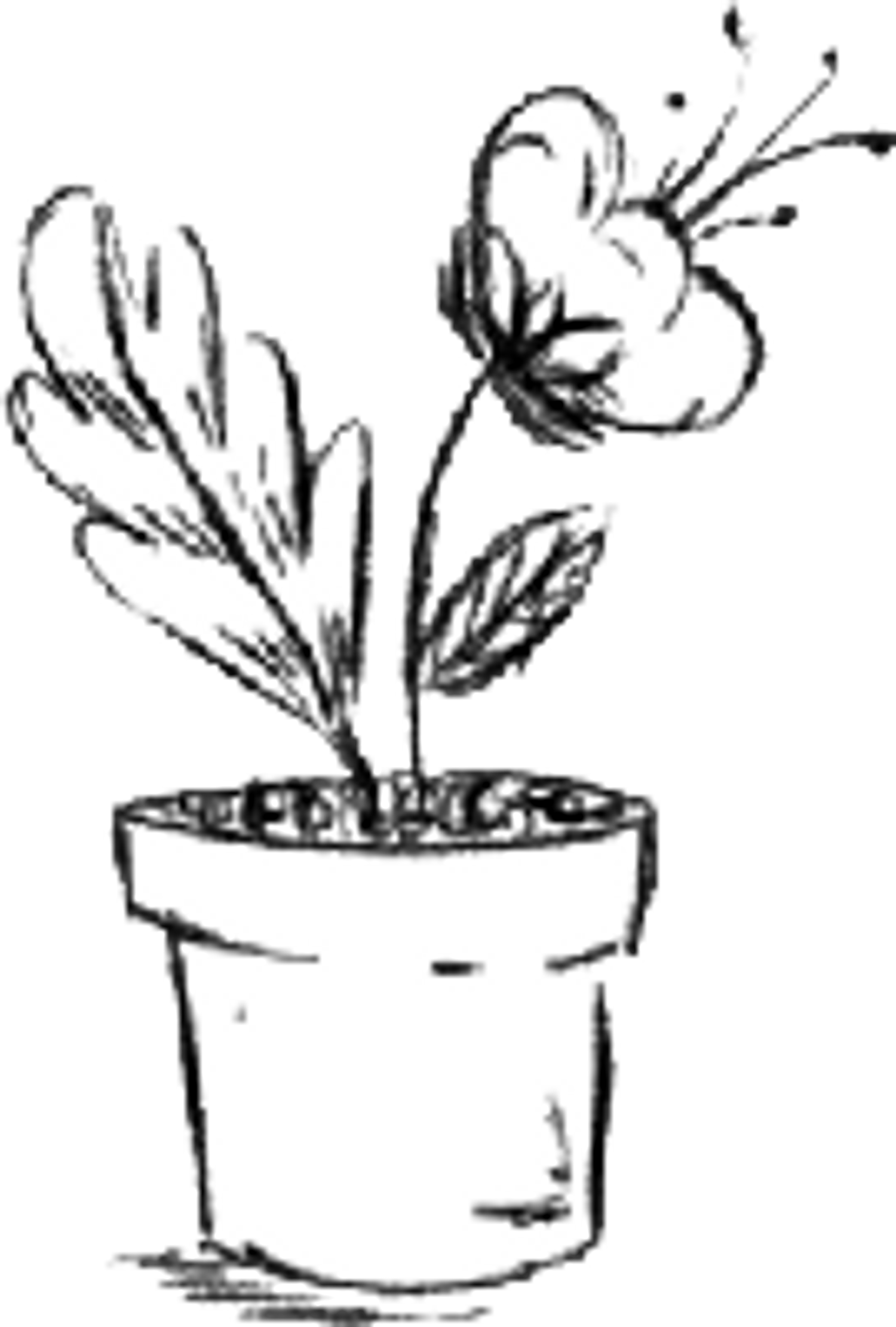 Explore Nathaly Cuervo Shop Ideas