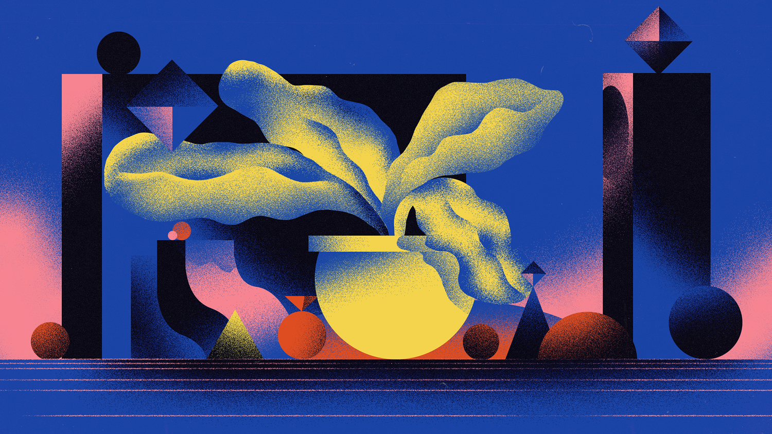 Explore Sandro Rybak Shop Ideas