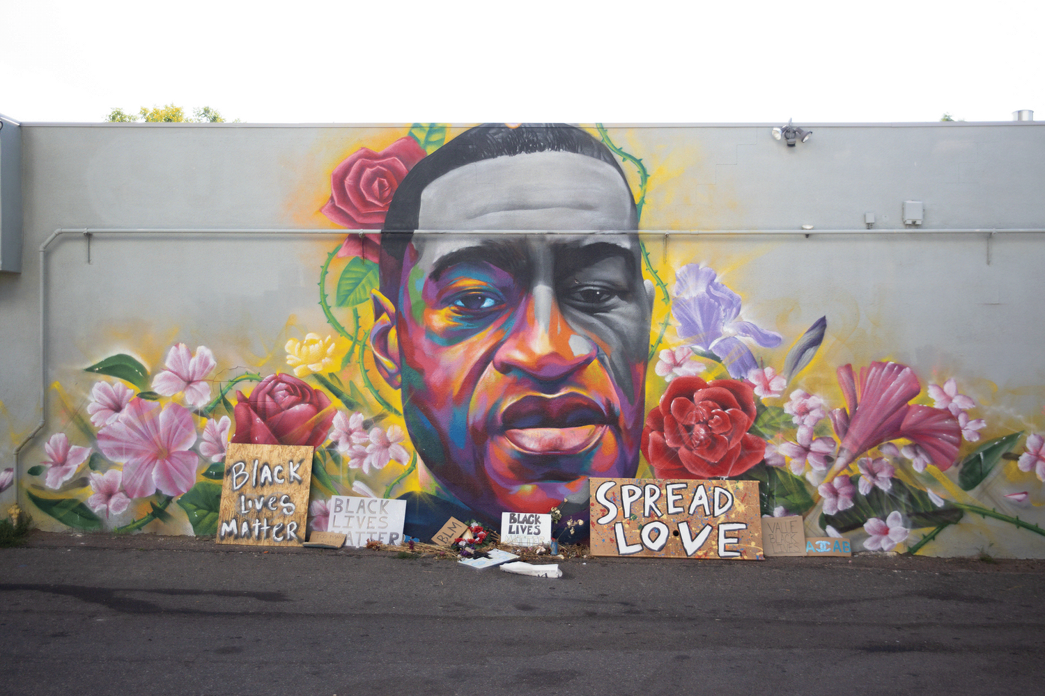 Explore Minx Shop Ideas