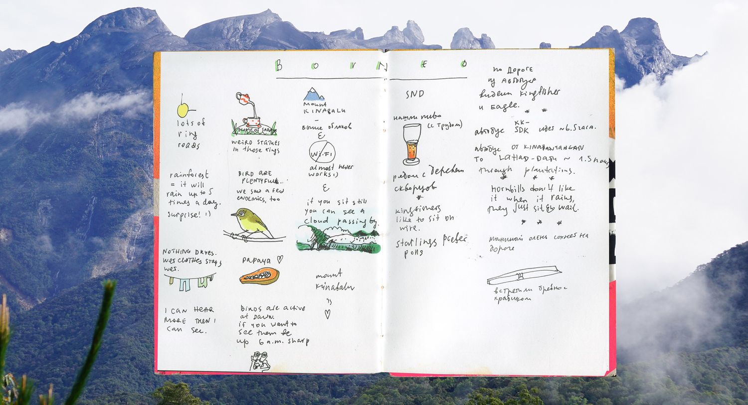 Explore mina milk Shop Ideas