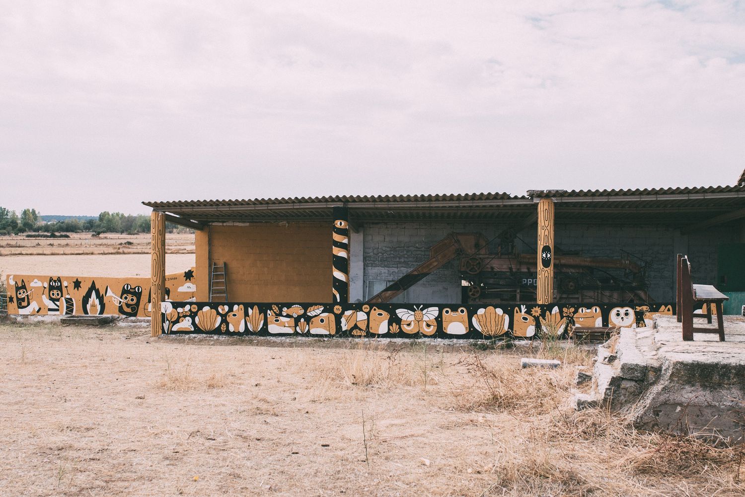 Explore Elena González Shop Ideas