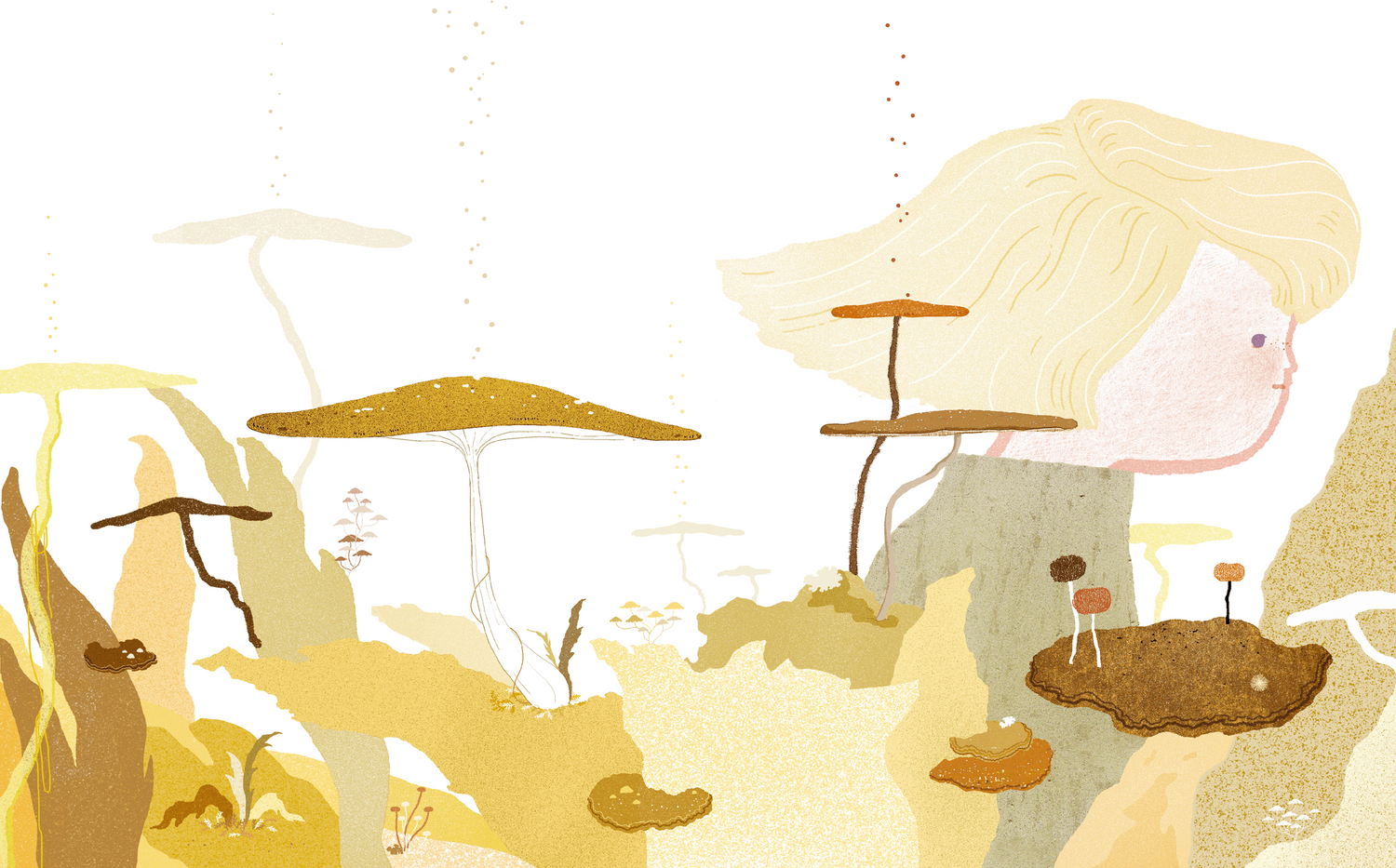 Explore Seungyoun Kim Shop Ideas