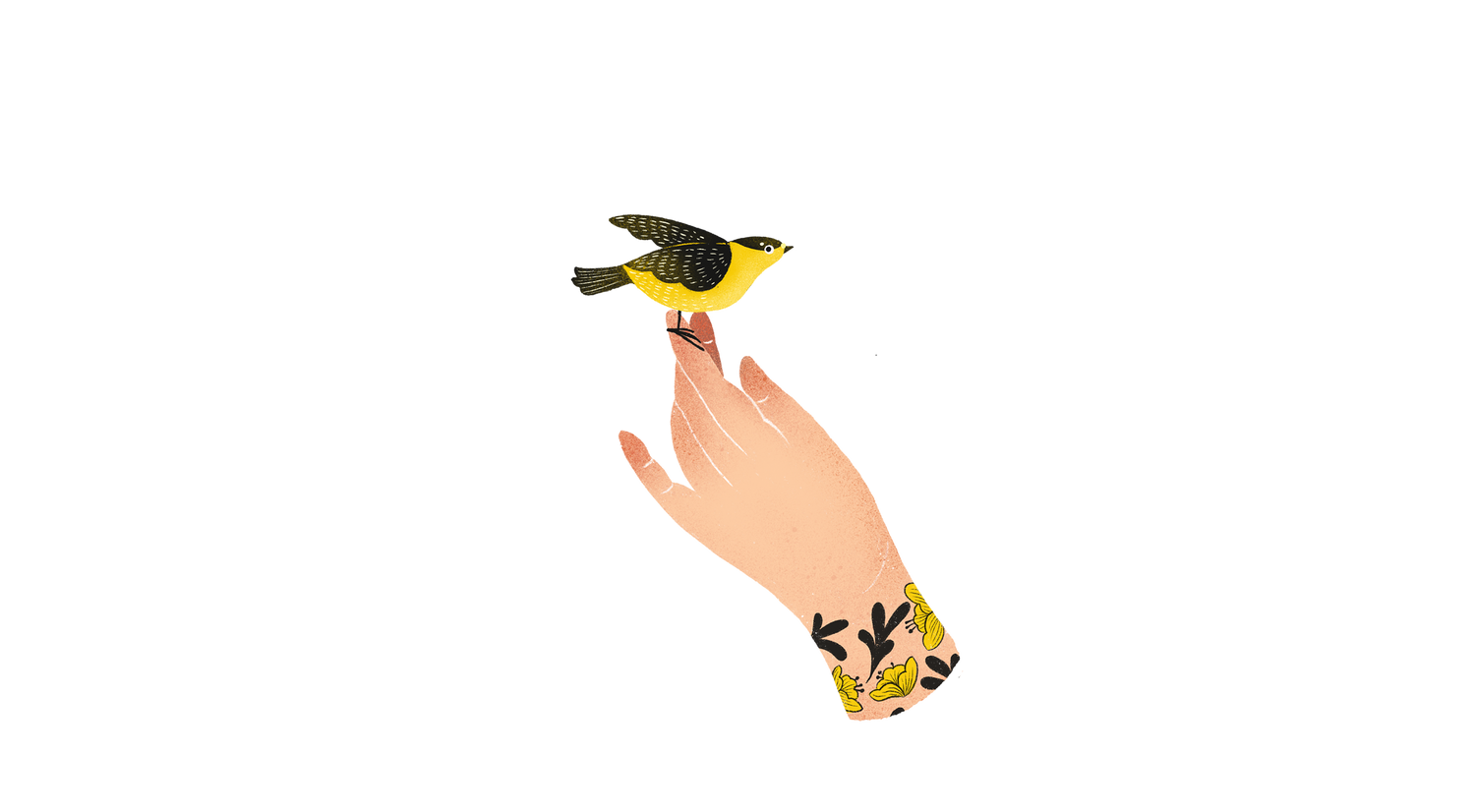 Explore Chia Hui Chien Shop Ideas