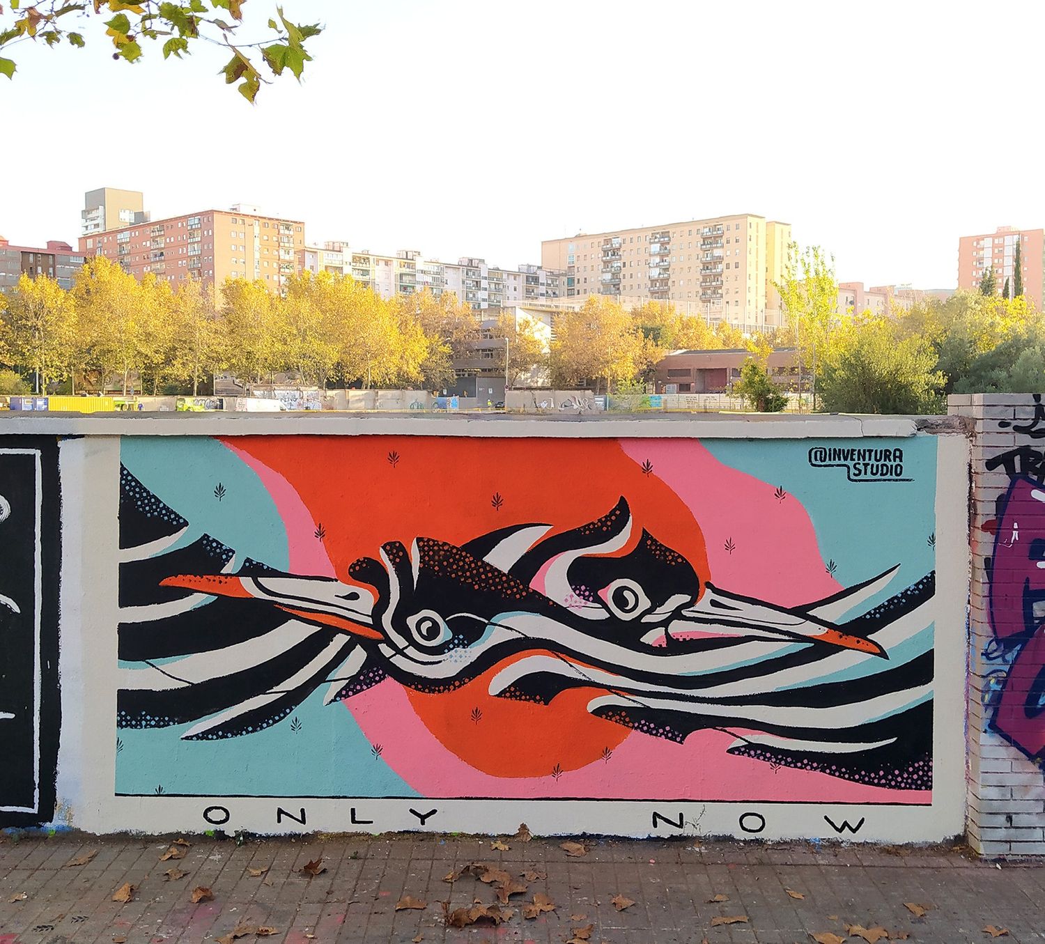 Explore Lucas Amaral Shop Ideas