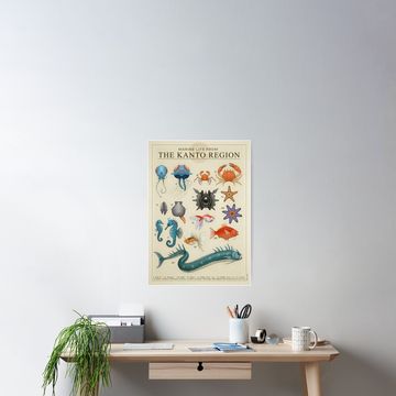 Discover Marine Life from Kanto Poster