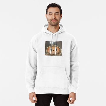 Discover Labubu Pullover Hoodie