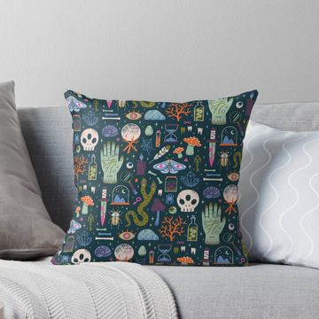 Discover Curiosities Pillow