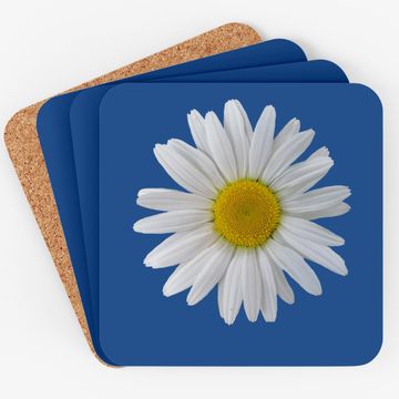 Discover White Daisy Flower Blooming Coaster
