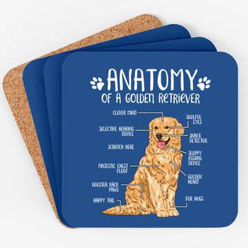 Discover Anatomy Golden Retriever Dog Coaster