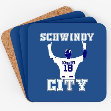 Discover Schwindy City Baseball Coaster